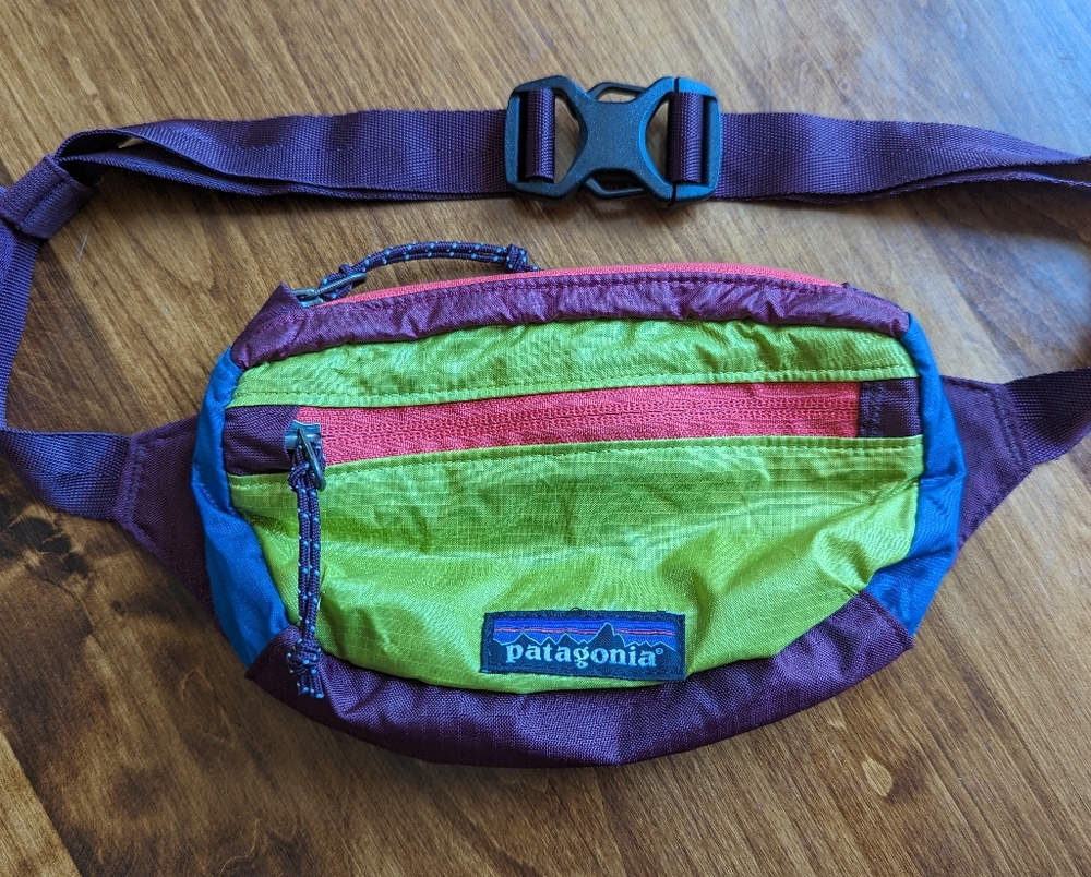 Patagonia Lightweight Travel Mini Hip Pack
